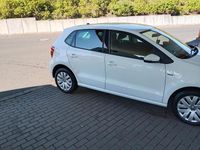 Second-hand VW Polo 80 CP (58 kW) 2015 Alb Hatchback