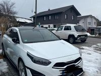 Gebraucht Kia ProCeed GT-Line 140 PS (102 kW) 2024 Weiß Kombi