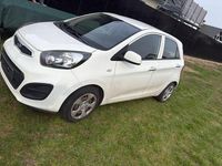 Gebraucht Kia Picanto 69 PS (50 kW) 2014 Weiß Kleinwagen