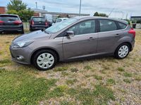 Gebraucht Ford Focus Champions Edition 101 PS (74 kW) 2013 Braun Limousine