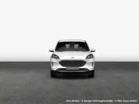 Gebraucht Ford Kuga ST-Line 150 PS (110 kW) 2023 White platinum metallic SUV