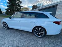 Gebraucht Cupra Leon 204 PS (150 kW) 2024 Weiß Kombi