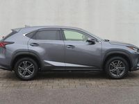 Gebraucht Lexus NX300h E-FOUR Executive Line 197 PS (144 kW) 2019 Grau SUV