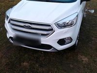 Gebraucht Ford Kuga 120 PS (88 kW) 2019 Weiß SUV