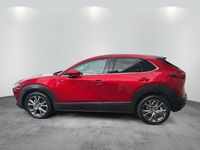 Gebraucht Mazda CX-30 Nagisa 186 PS (136 kW) 2024 SUV