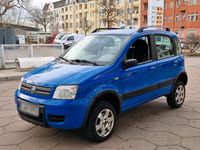 Gebraucht Fiat Panda 4x4 70 PS (51 kW) 2006 Blau Kleinwagen