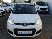 Gebraucht Fiat Panda Easy 69 PS (50 kW) 2020 Weiß Kleinwagen