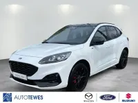 Gebraucht Ford Kuga ST-Line X 190 PS (139 kW) 2023 Frozen white (weiss) SUV