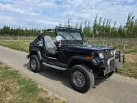 Gebraucht Jeep Wrangler 178 PS (130 kW) 1991 Schwarz SUV