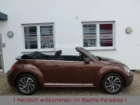 Gebraucht VW Beetle Allstar 105 PS (77 kW) 2017 Dark bronze Kleinwagen