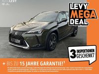 Gebraucht Lexus UX 250h Executive Line 184 PS (135 kW) 2024 Grün SUV