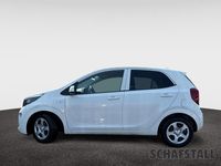 Gebraucht Kia Picanto Vision 67 PS (49 kW) 2024 Weiss ((ud) schneeweiss) Kleinwagen