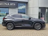 Gebraucht Lexus NX350h Business Edition 243 PS (178 kW) 2024 SUV
