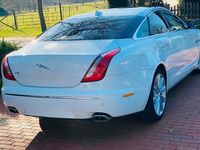 Gebraucht Jaguar XJ Luxury 275 PS (202 kW) 2013 Weiß Limousine