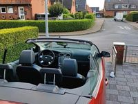 gebraucht Ford Focus Cabriolet 