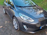 Gebraucht Ford Fiesta Titanium 101 PS (74 kW) 2019 Grau Kleinwagen