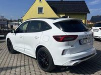 Gebraucht Ford Kuga ST-Line X 242 PS (177 kW) 2026 Weiß SUV
