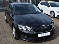 gebraucht Skoda Octavia 1.5 TSI Ambition / Kamera / AppConnect