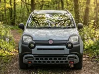 Gebraucht Fiat Panda Cross Cross 69 PS (50 kW) 2019 Grau Kleinwagen