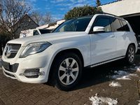 Gebraucht Mercedes GLK220 170 PS (125 kW) 2013 Weiß SUV