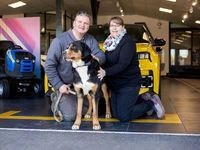 Gebraucht Renault Kangoo Techno 131 PS (96 kW) 2023 Grau Van / Kleinbus