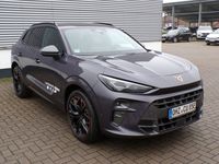 Gebraucht Cupra Terramar VZ 272 PS (200 kW) 2025 Violett SUV