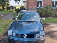 Gebraucht VW Polo Cricket 86 PS (63 kW) 2004 Blau Kleinwagen