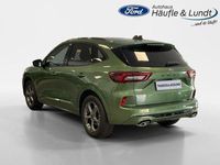 Gebraucht Ford Kuga ST-Line X 150 PS (110 kW) 2024 Bursting green SUV