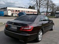 Gebraucht Mercedes E250 204 PS (150 kW) 2009 Braun Limousine