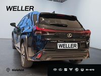 Neu Lexus UX 300h Sport Design Packet 199 PS (146 kW) 2025 Schwarz SUV