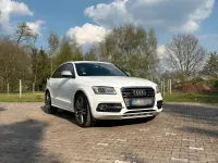 Gebraucht Audi SQ5 Comfort 313 PS (230 kW) 2014 Weiß SUV