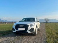 Gebraucht Audi Q2 Advanced Plus 116 PS (85 kW) 2024 Weiß SUV