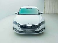 gebraucht Skoda Octavia Combi 1.4 TSI iV DSG*HUD*HYBRID*RFK*ACC*