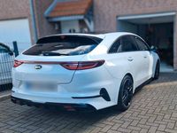 Gebraucht Kia ProCeed GT 204 PS (150 kW) 2019 Weiß Kombi