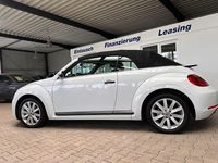 Gebraucht VW Beetle Cabriolet Basis 110 PS (80 kW) 2015 Weiß Cabrio