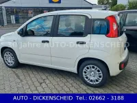 Neu Fiat Panda 69 PS (50 kW) 2025 Weiß Kleinwagen