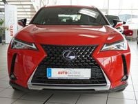 Gebraucht Lexus UX 250h 178 PS (130 kW) 2019 Solid red SUV