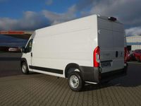 Gebraucht Fiat Ducato 160 PS (117 kW) 2023 Weiss (pastell) Van