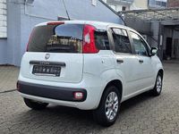 Gebraucht Fiat Panda Connect 69 PS (50 kW) 2018 Weiß Kleinwagen