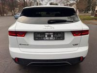 Gebraucht Jaguar E-Pace SE 179 PS (131 kW) 2019 Weiß SUV
