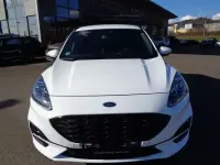 Gebraucht Ford Kuga ST-Line X 190 PS (139 kW) 2020 Weiß SUV