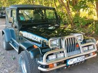 Gebraucht Jeep Wrangler 121 PS (88 kW) 1993 Schwarz SUV