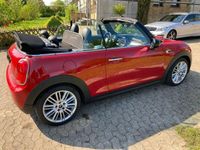 gebraucht Mini Cooper D Cabriolet Chill LederNappa/LED/Navi/Alu2Hd