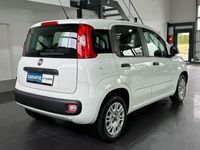 gebraucht Fiat Panda Easy | KLIMA | SH | elekt. Fenster |