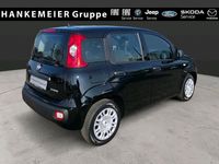 Neu Fiat Panda Icon 65 PS (47 kW) 2026 Schwarz Kleinwagen