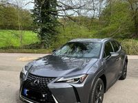 gebraucht Lexus UX 250h