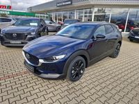 Neu Mazda CX-30 Homura-Line 140 PS (102 kW) 2026 SUV