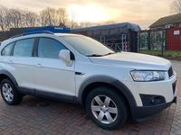 gebraucht Chevrolet Captiva weiß