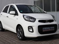 Gebraucht Kia Picanto Intro Edition 84 PS (61 kW) 2015 Weiß Kleinwagen
