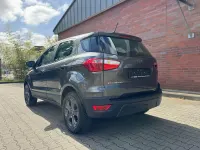 Usado Ford Ecosport Trend 101 CV (74 kW) 2020 Gris SUV
